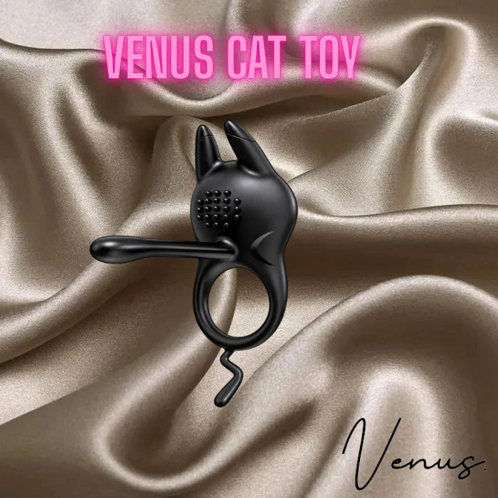 Venus cat toy