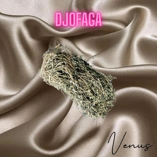 Djofaga